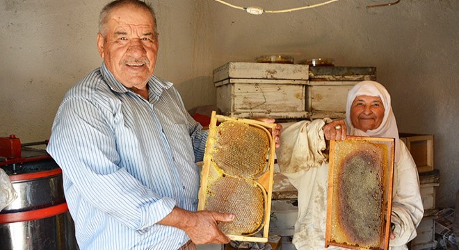 İmecikli balcıların hasadı başladı