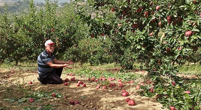 İnegöl de elma üreticisini fırtına vurdu