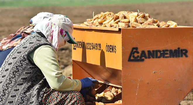 İnegöl de patates ekimi başladı