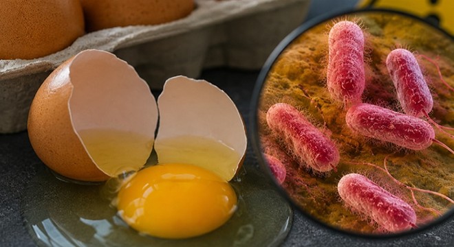 İngiltere'de salmonella salgını