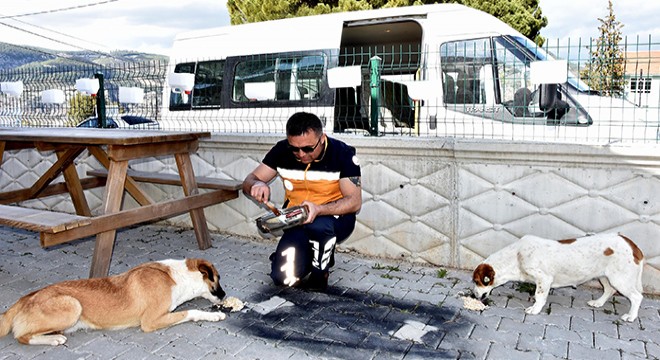 İnsan ve sokak hayvanlarına adanan bir ömür