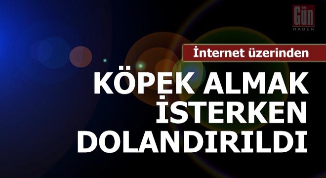 İnternetten köpek almak istedi, dolandırıldı