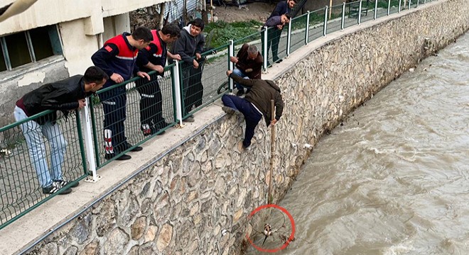 Irmakta mahsur kalan kedi kurtarıldı