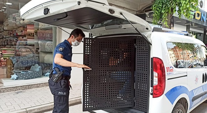 İş yerinden hırsızlık yapan şüpheliyi yakalayıp, polis teslim etti