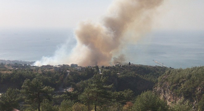 İskenderun'da bir orman yangını daha çıktı