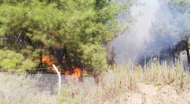 İskenderun da orman yangını