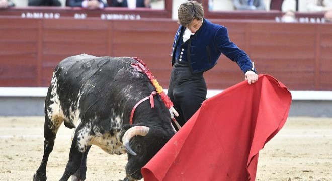 İspanya da boğa güreşleri 19 ay sonra yeniden başladı