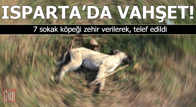 Isparta da 7 köpeğin zehirlenmesine inceleme