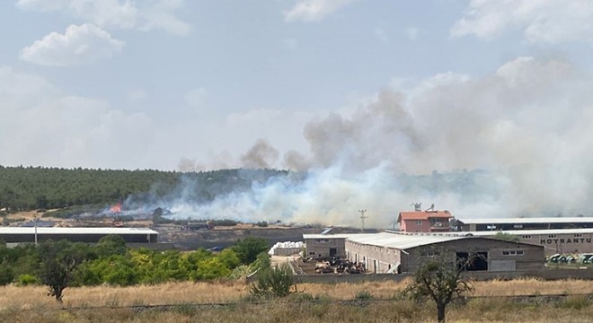 Isparta da anız yangınında alevler ormana sıçradı