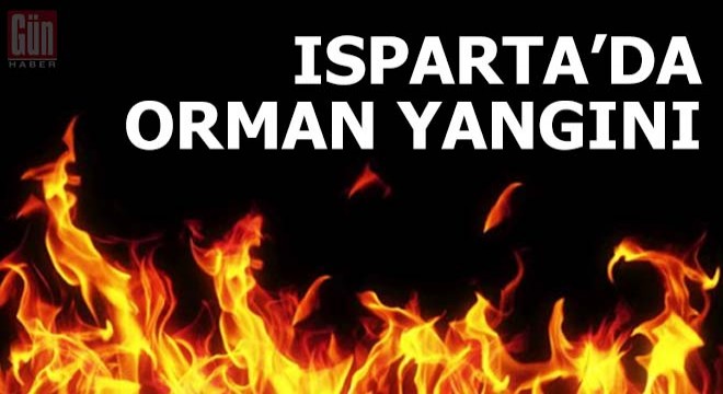 Isparta da orman yangını