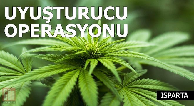 Isparta da uyuşturucu operasyonu