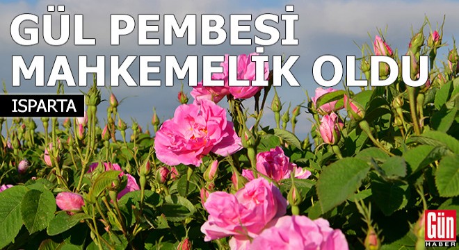 Isparta nın gül pembesi mahkemelik oldu