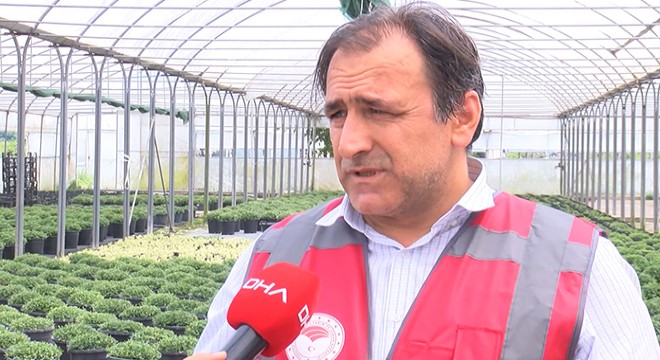 İstanbul'da balık ve yengeç ölümlerinin nedeni belli oldu