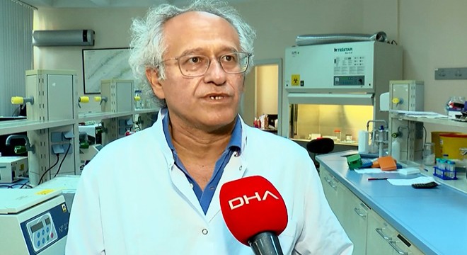 İstanbul'daki tehlike 'Asya Kaplan Sivrisineği'