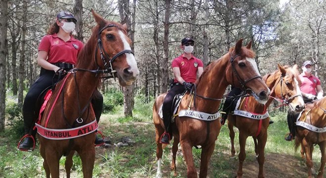 İstanbul'un ormanları için "Doğa devriyesi" iş başı yaptı