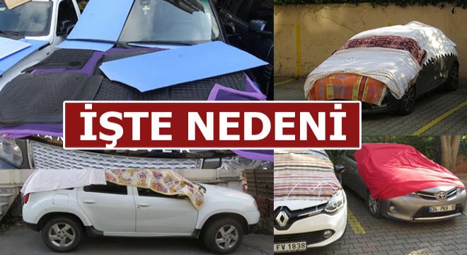İşte bu görüntünün nedeni...