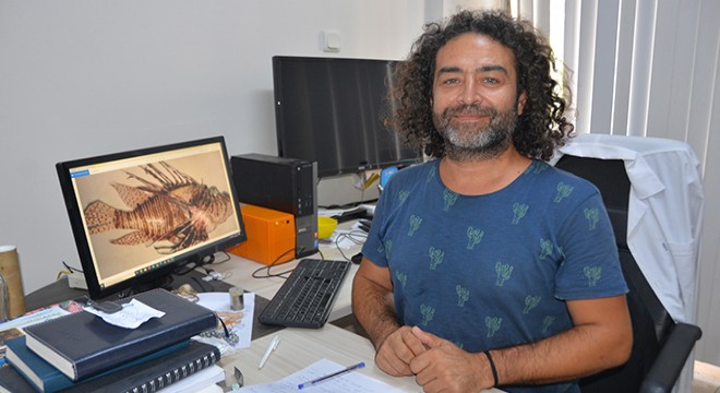 İstilacı türler balıkçılığı tehdit ediyor