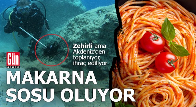 İstilacı, zehirli ama nefis bir makarna sosu