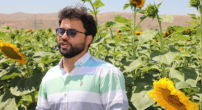İtalya'da yaşayan Sivaslı tenordan ayçiçeği tarlasında arya