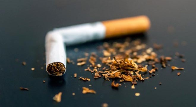 İtalya’da 55 ton kaçak sigara ele geçirildi