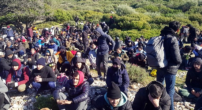 İzmir'de 343 kaçak göçmen ve 6 organizatör yakalandı