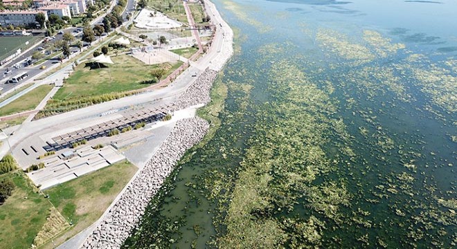 İzmir'de deniz yeşile büründü