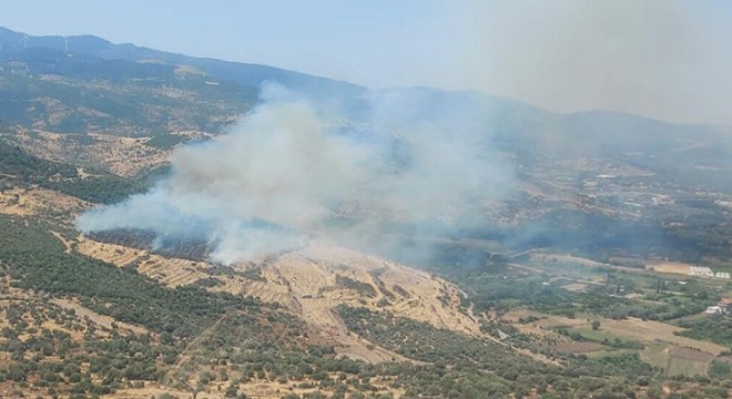 İzmir'de makilik ve zeytinlik alanda yangın