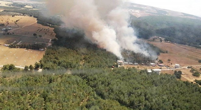 İzmir'de orman yangını