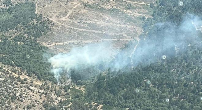 İzmir'de orman yangını