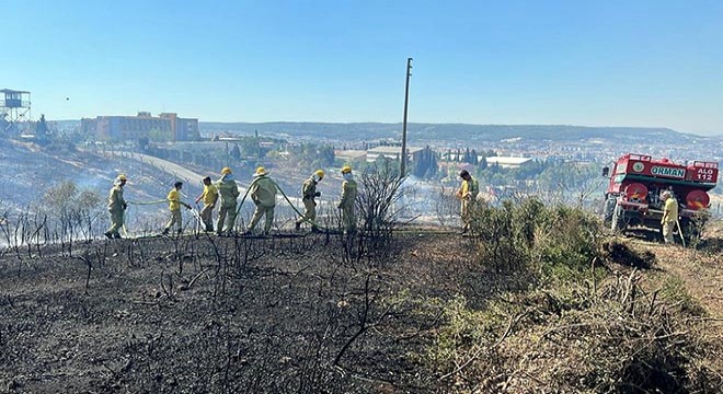 İzmir Seferihisar’da orman yangını