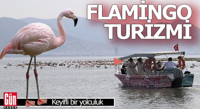 İzmir de  Flamingo Yolu  turu