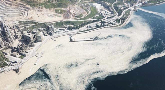 İzmit Körfez deniz salyası ile kaplandı