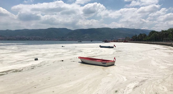İzmit Körfezi'nde müsilaj büyük oranda temizlendi