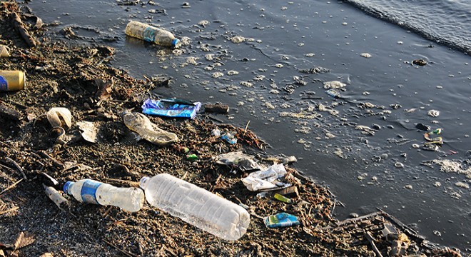 İzmit'te su kuşlarının göç yolu kirlendi