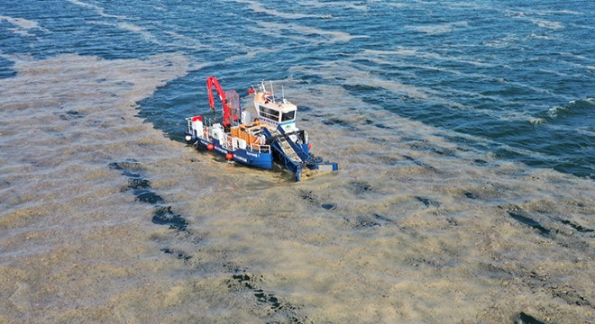 İzmit Körfezi’nden 100 ton deniz salyası toplandı