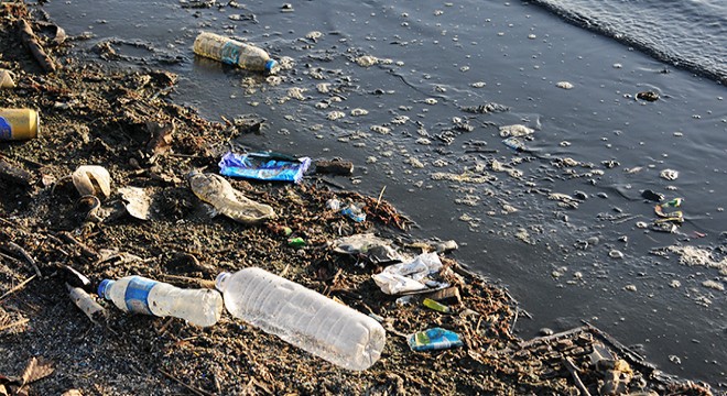 İzmit te su kuşlarının göç yolu kirlendi