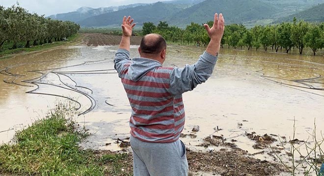 İznik'te sağanak; tarım arazilerinde zarar büyük
