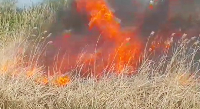 İznik'te sazlık yangını