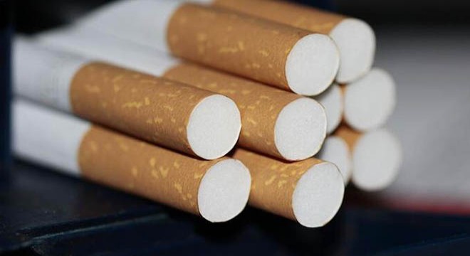 Jandarma 500 bin lira değerinde makaron ele geçirdi