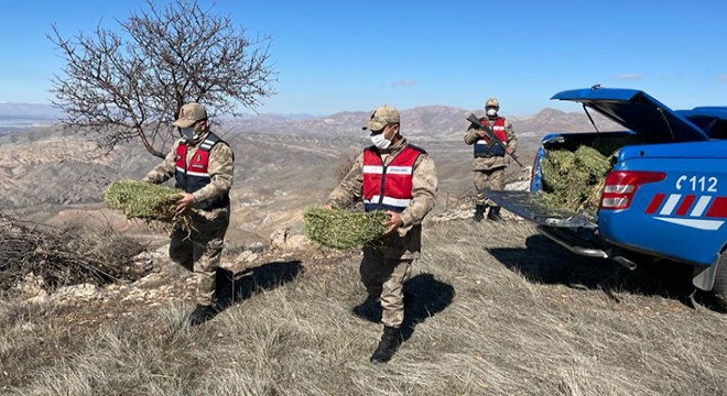 Jandarma, 'Dünya Yaban Hayatı Günü'nde doğaya yem bıraktı