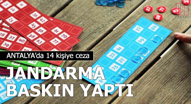 Jandarma baskın yaptı... Antalya'da 14 kişiye ceza!