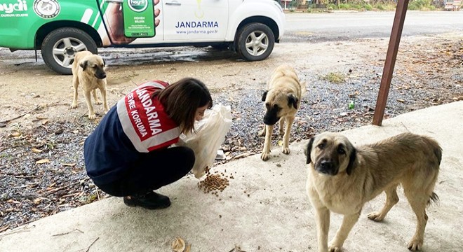 Jandarma can dostları unutmadı
