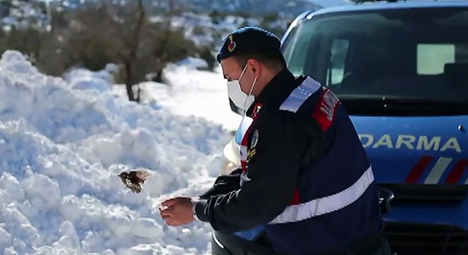 Jandarma personeli donmak üzere olan kuşu elleriyle ısıttı