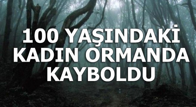 Jandarma ve AKUT 100 yaşındaki kadını arıyor