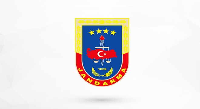 Jandarma, yavru kuzuları donmaktan kurtardı