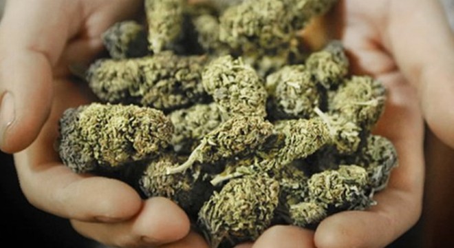 Jandarma 700 gram bonzai ele geçirdi