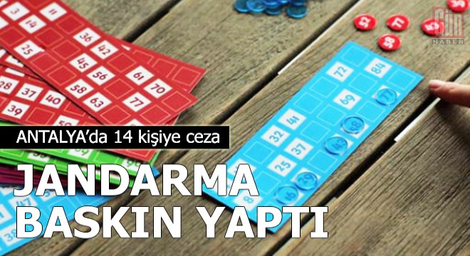 Jandarma baskın yaptı... Antalya da 14 kişiye ceza!