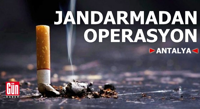 Jandarmadan Antalya'da operasyon