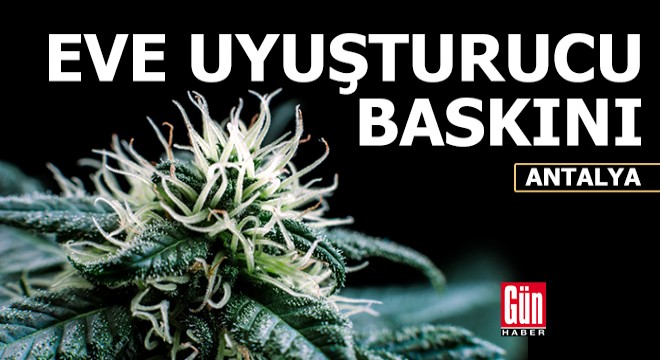 Jandarmadan eve uyuşturucu baskını