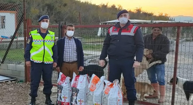 Jandarmadan hayvanlara mama yardımı
